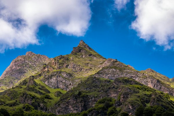Comment choisir une croisière qui propose des excursions pour observer les pandas géants en Chine?